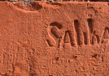 Sahkapuu, Tartum